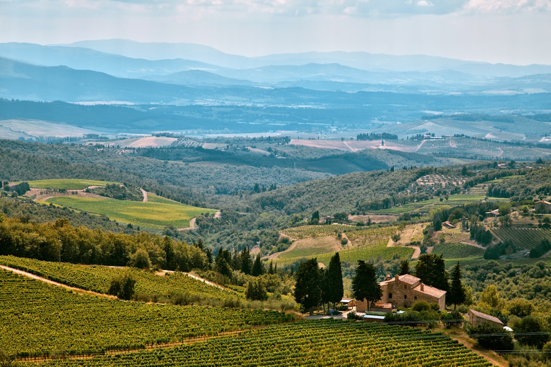 Photo Mountain view